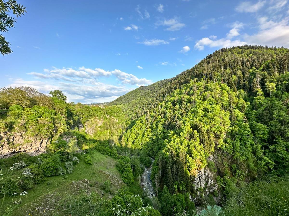 Green Mountain ボルジョミ エクステリア 写真