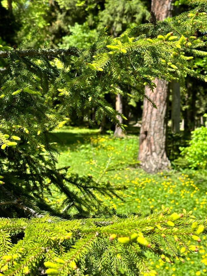 Green Mountain ボルジョミ エクステリア 写真